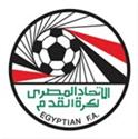 埃及电信球队图片