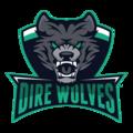 Dire Wolves球队图片
