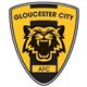 Gloucester City Queens (W)球队图片