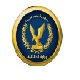 埃及警察联
