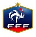 法国女球队Logo